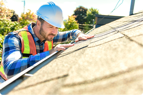 Roof Maintenance