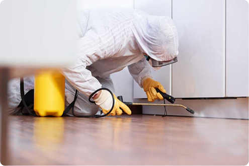 Roof Maintenance