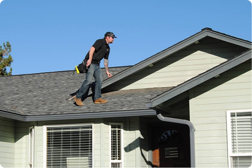 Roof Maintenance