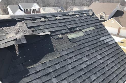 Roof Maintenance